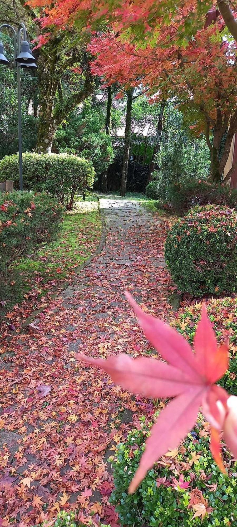 Estacao Das Hortensias, Seu Aconchego Em Gramado 아파트 외부 사진