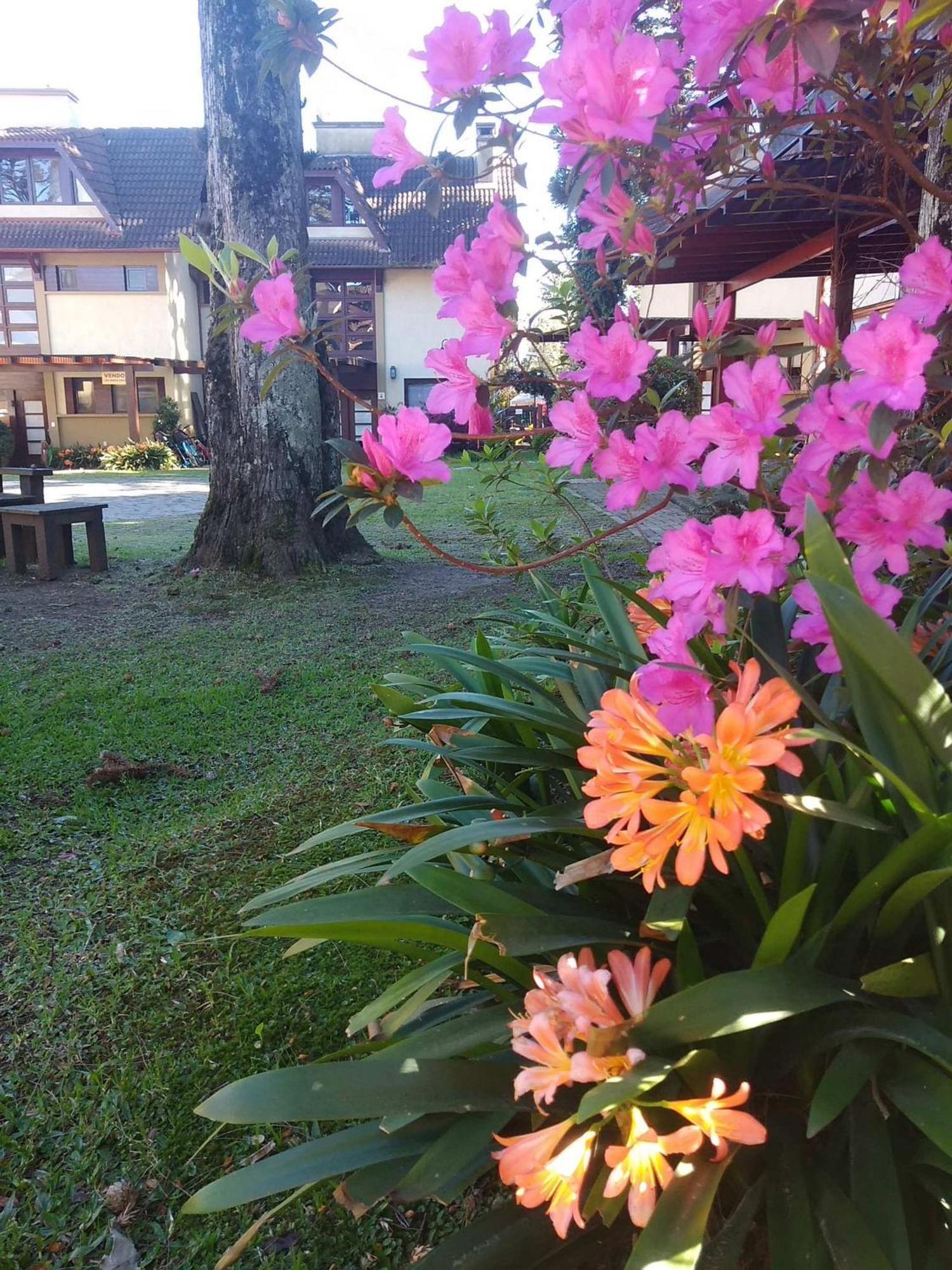 Estacao Das Hortensias, Seu Aconchego Em Gramado 아파트 외부 사진